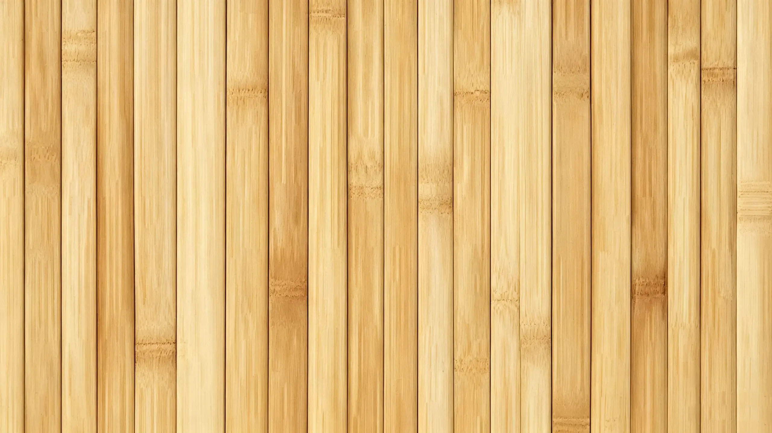 Bamboo