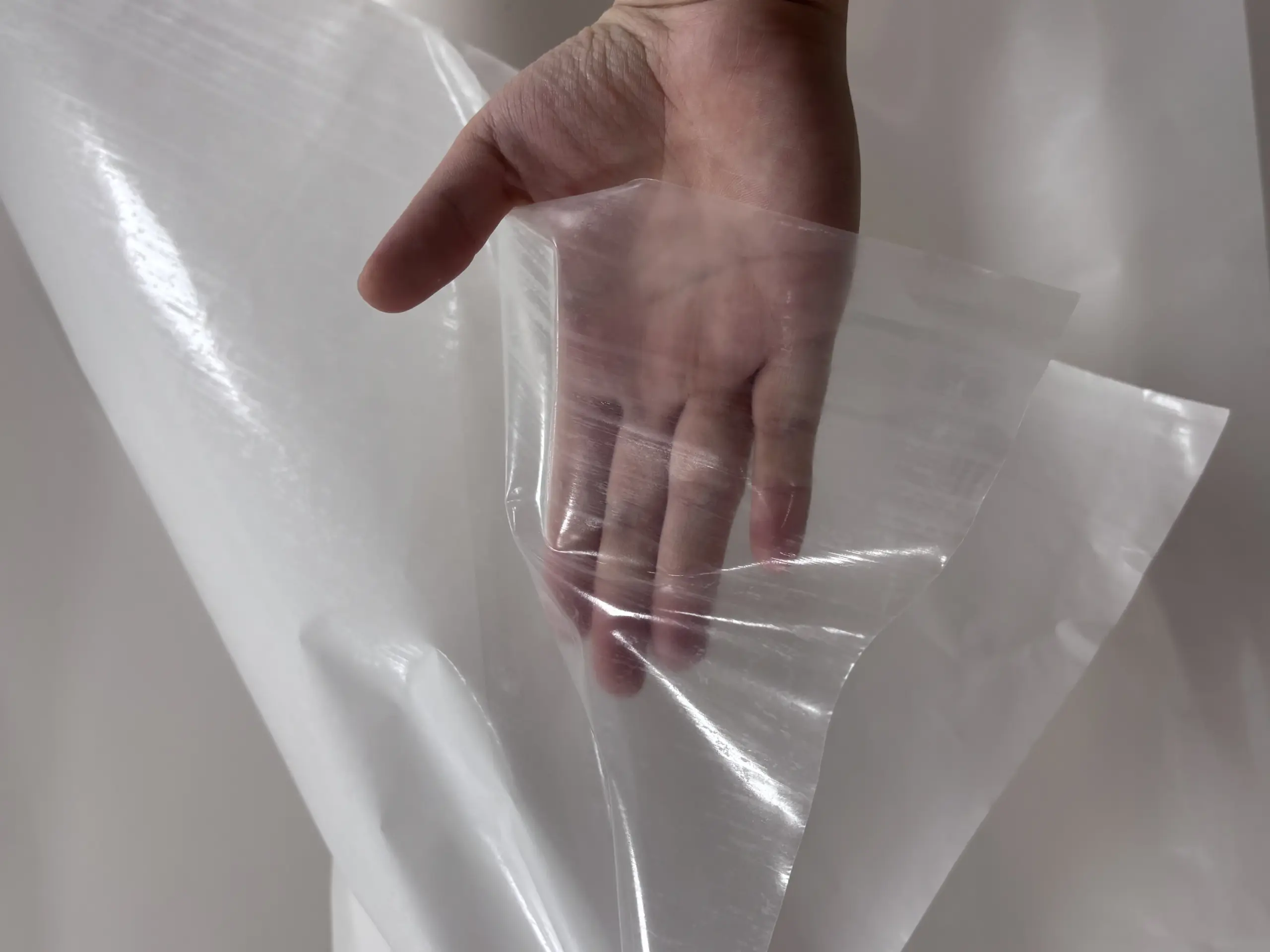 PO/EAA Adhesive